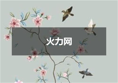 火力网