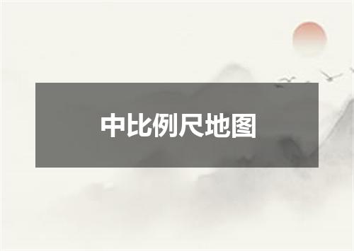 中比例尺地图