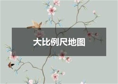 大比例尺地图