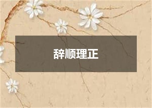 辞顺理正