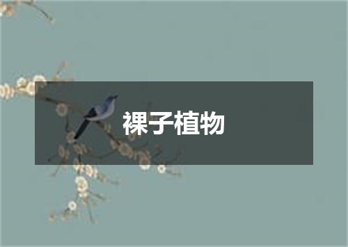 裸子植物
