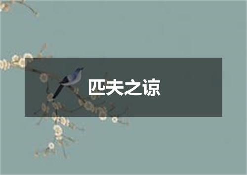 匹夫之谅