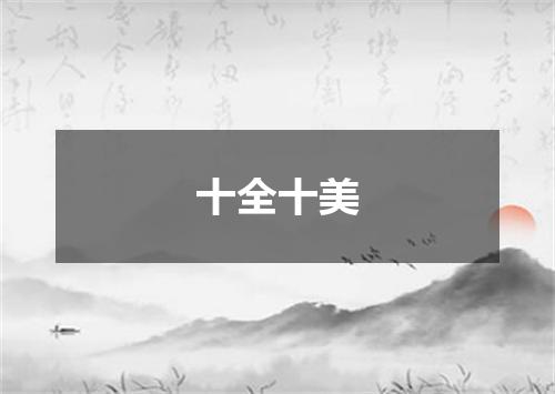 十全十美