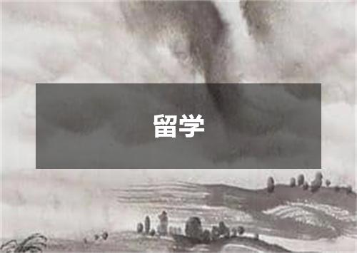 留学