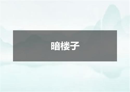 暗楼子