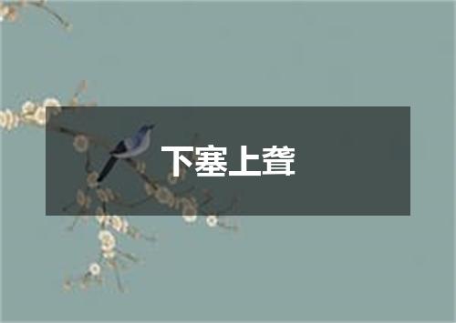 下塞上聋
