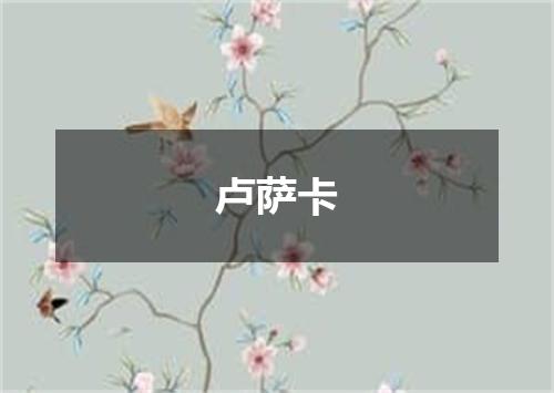 卢萨卡