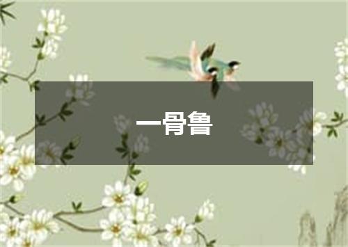 一骨鲁