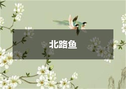 北路鱼
