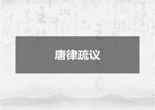 唐律疏议