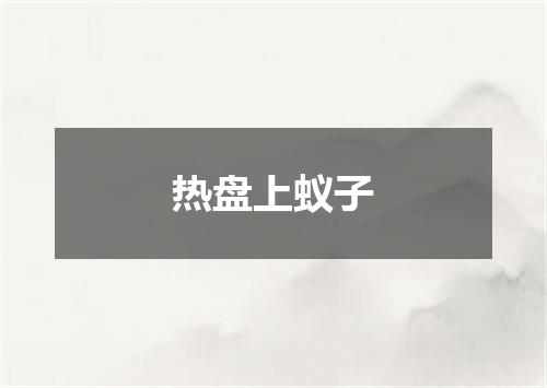 热盘上蚁子