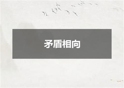 矛盾相向