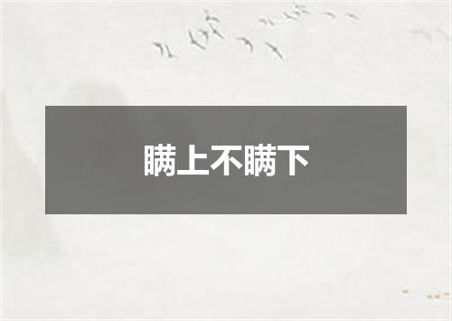 瞒上不瞒下