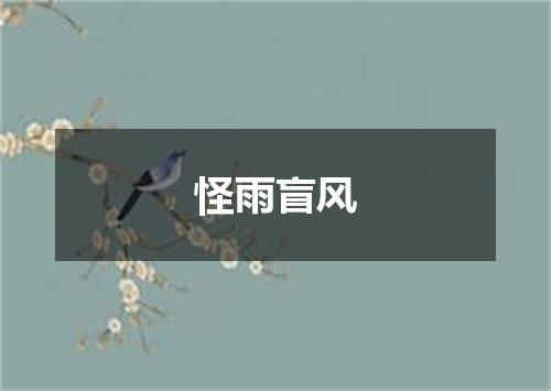怪雨盲风