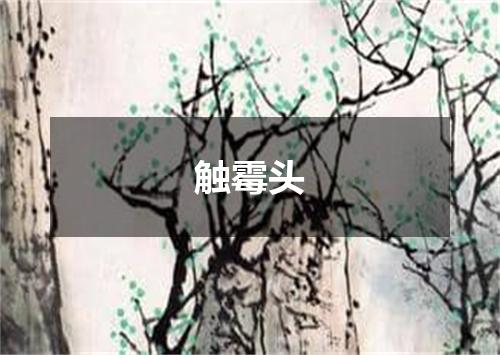 触霉头