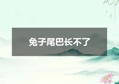 兔子尾巴长不了