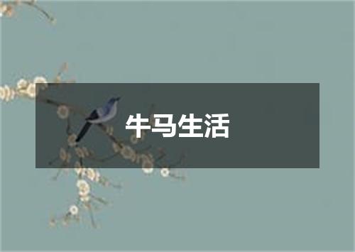 牛马生活