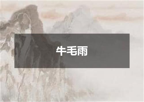 牛毛雨