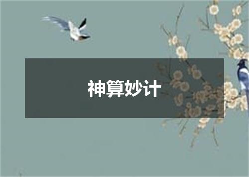 神算妙计
