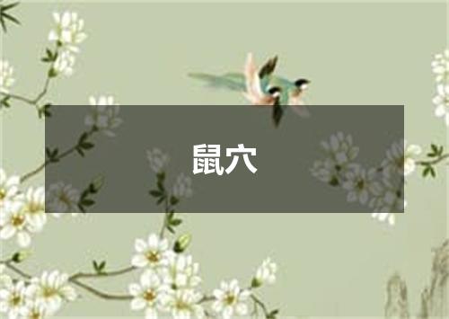 鼠穴