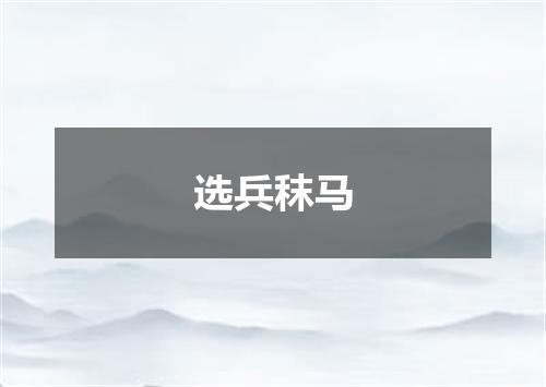 选兵秣马