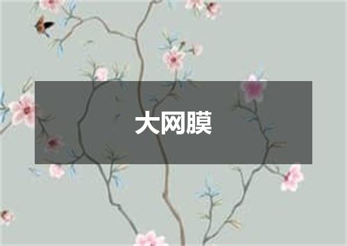 大网膜