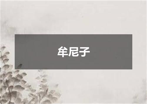 牟尼子