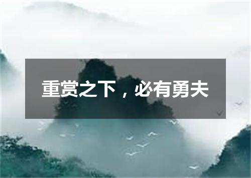 重赏之下，必有勇夫