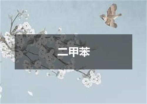 二甲苯