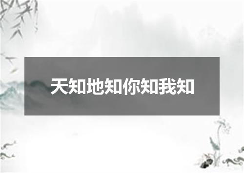 天知地知你知我知