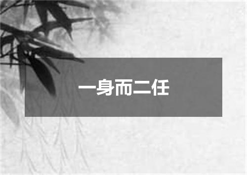 一身而二任