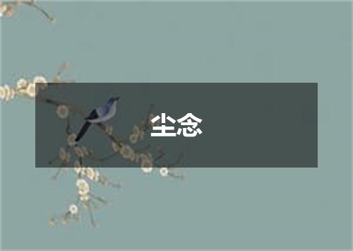 尘念