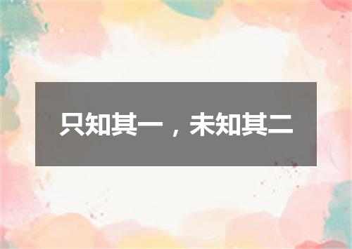 只知其一，未知其二