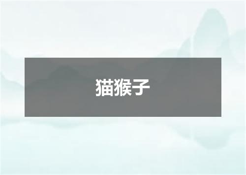 猫猴子