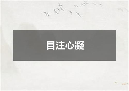 目注心凝