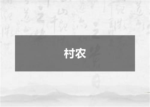 村农