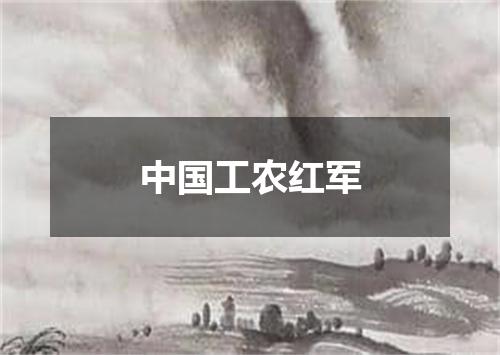 中国工农红军