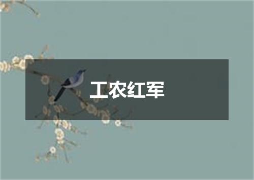 工农红军