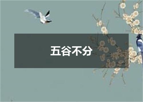 五谷不分