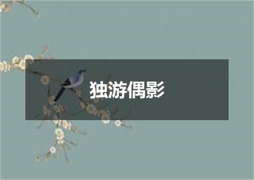 独游偶影