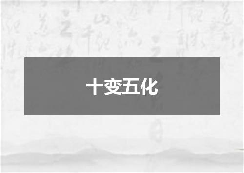 十变五化