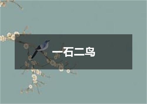 一石二鸟