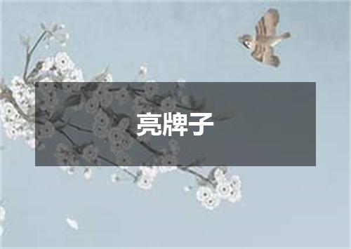 亮牌子