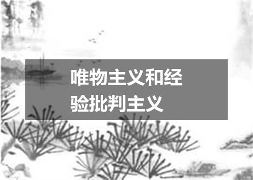 唯物主义和经验批判主义