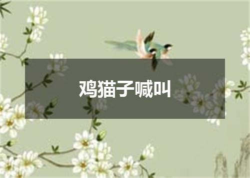 鸡猫子喊叫