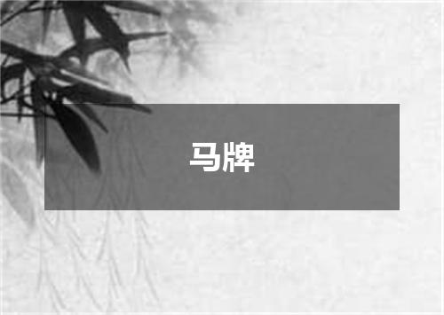 马牌