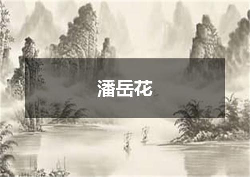 潘岳花