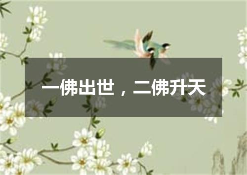 一佛出世，二佛升天