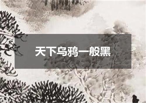 天下乌鸦一般黑