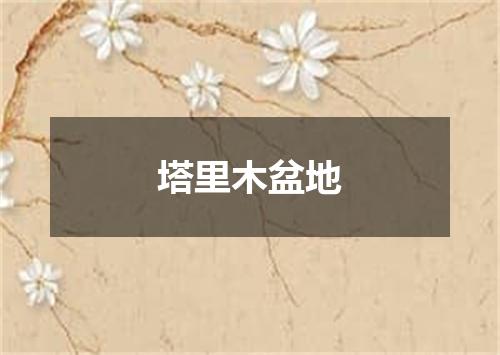 塔里木盆地
